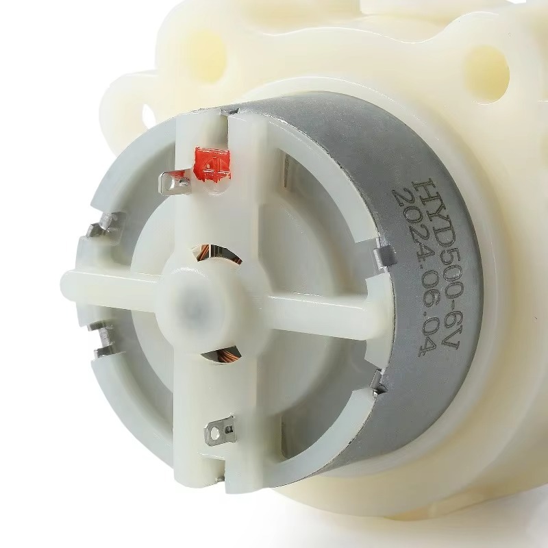 Mikro-Peristaltikpumpe DC 12V  – Mini Peristaltic Pump 12V Bewertung und Preis