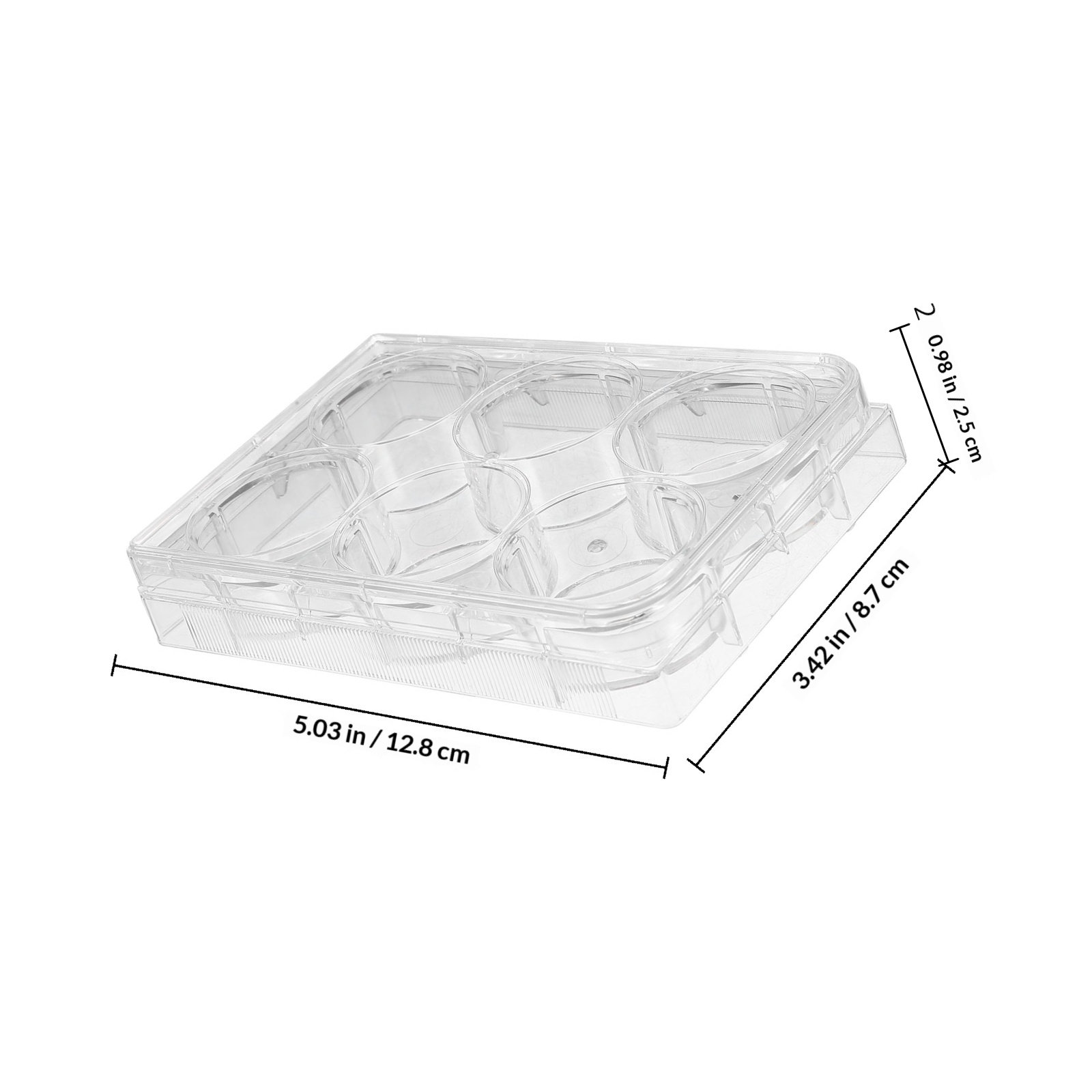 Zellkulturplatte mit 6 Vertief – Lab Equipment Bewertung und Preis